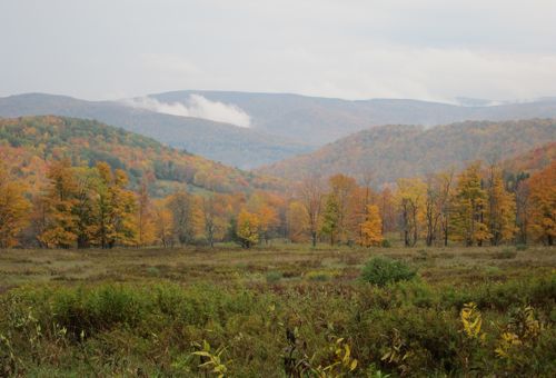 countryside view